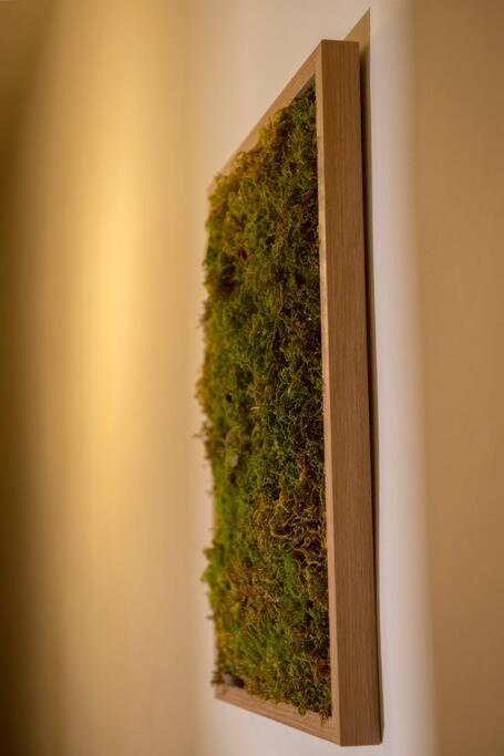 Summer Me - Mirror Flat Corfu Old Town Apartment ภายนอก รูปภาพ